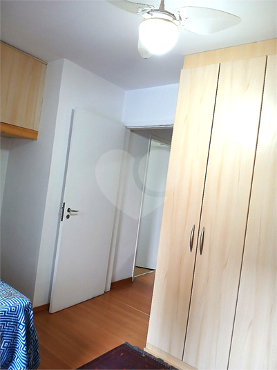 Foto REO1135193