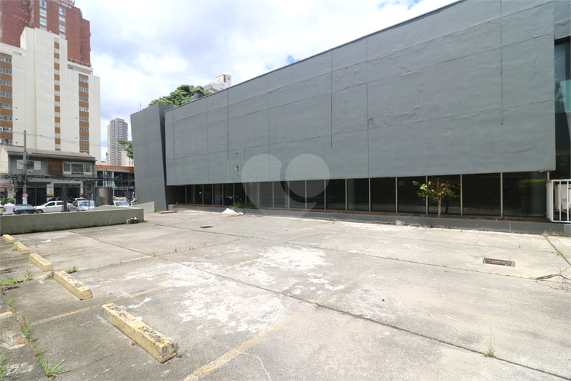 Foto REO1135195