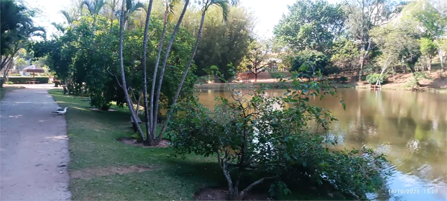 Foto REO1135206
