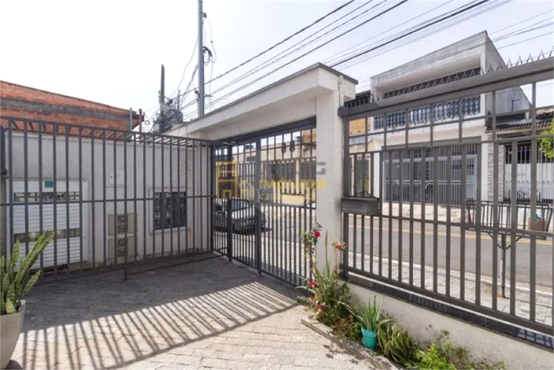 Foto REO1135247