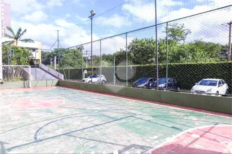 Foto REO1135265