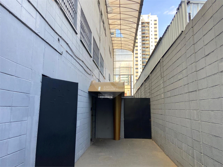 Foto REO1135266