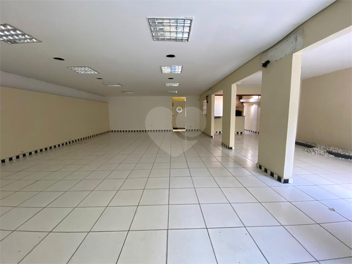 Foto REO1135266