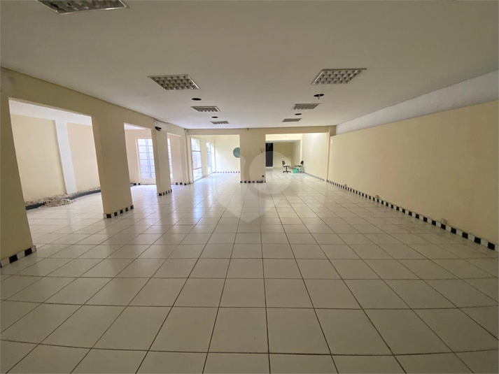 Foto REO1135266
