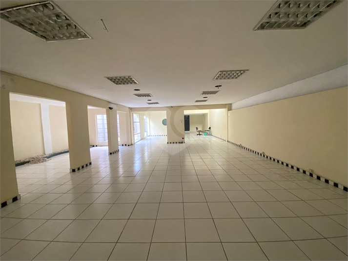 Foto REO1135266