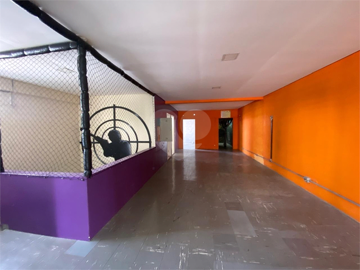 Foto REO1135266