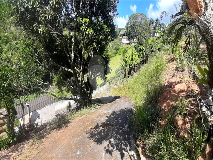 Foto REO1135289