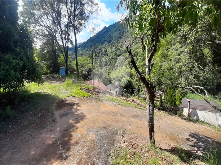 Foto REO1135289