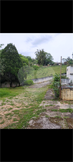 Foto REO1135289