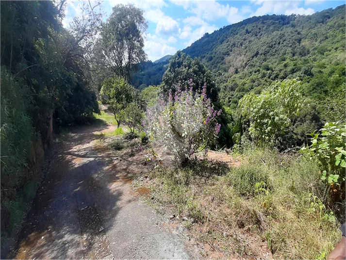 Foto REO1135289