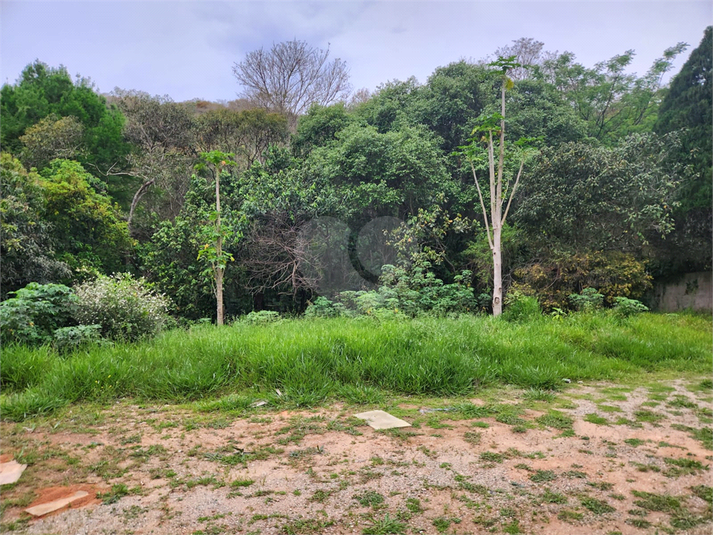 Foto REO1135289