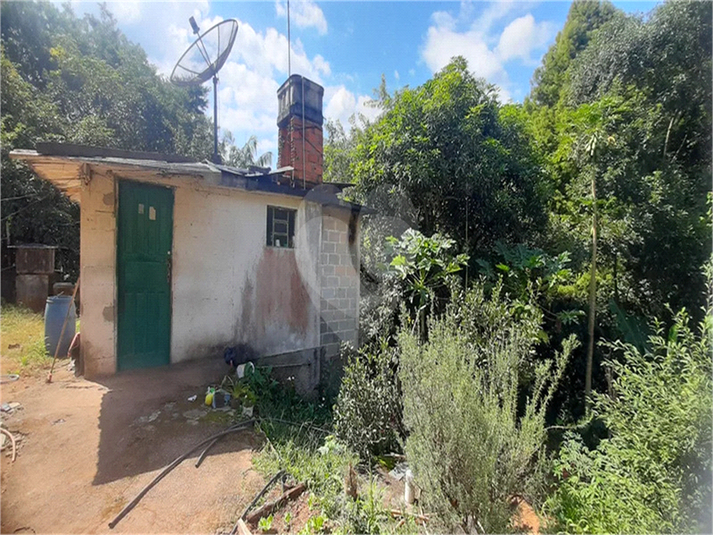 Foto REO1135289