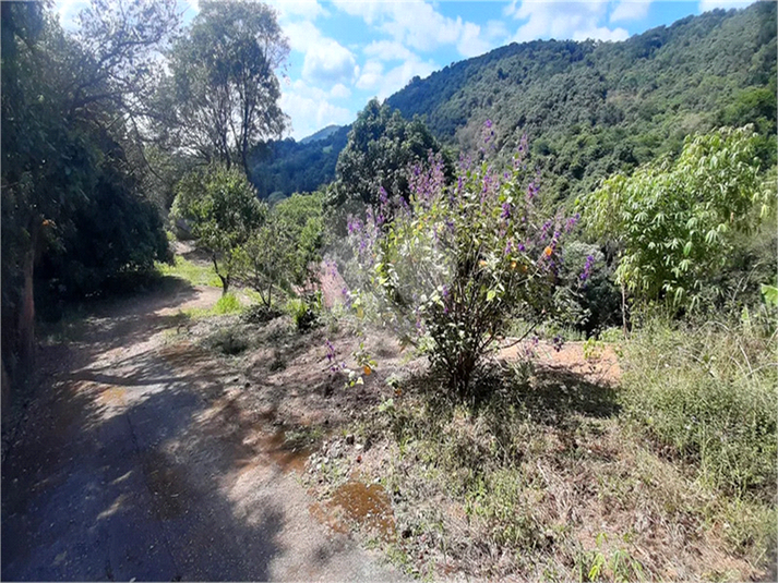 Foto REO1135289