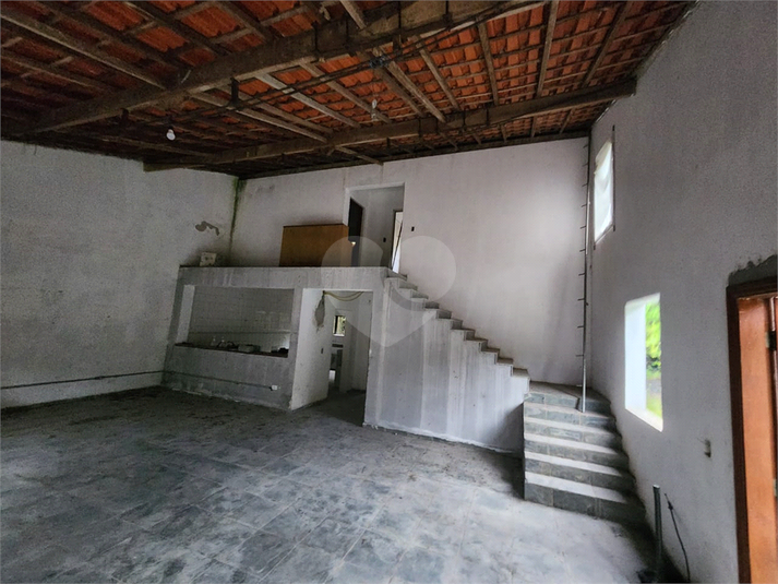 Foto REO1135289