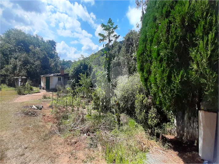 Foto REO1135289