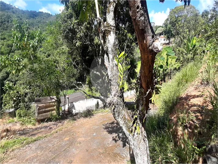 Foto REO1135289