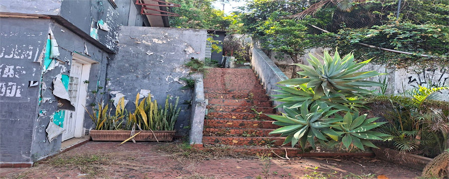 Foto REO1135303