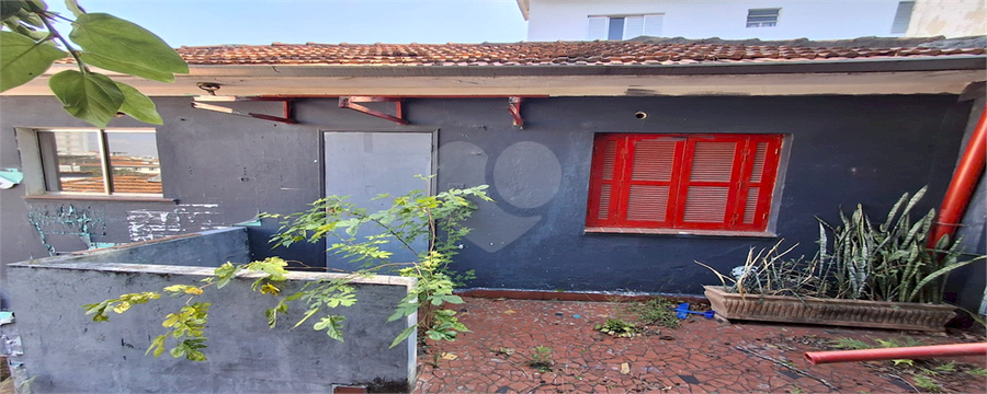 Foto REO1135303
