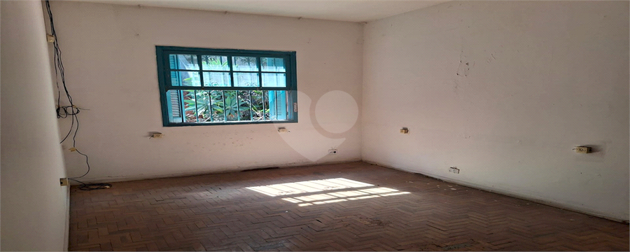Foto REO1135303