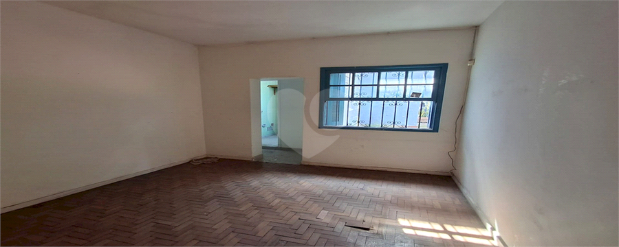 Foto REO1135303