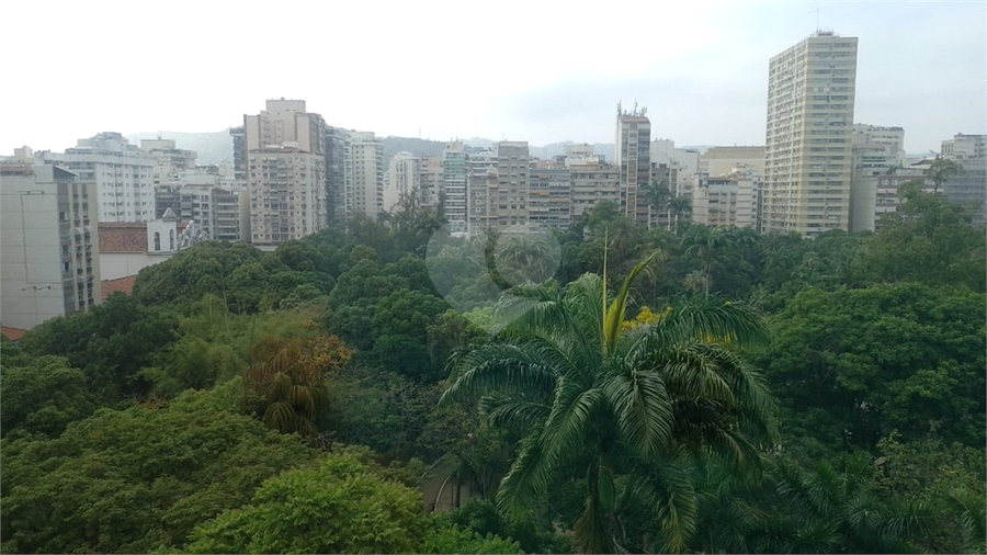 Foto REO1135312