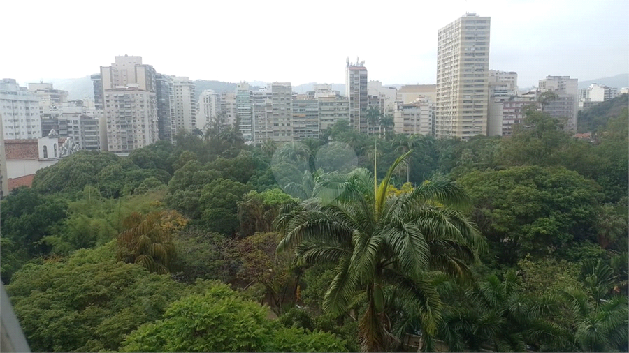 Foto REO1135312