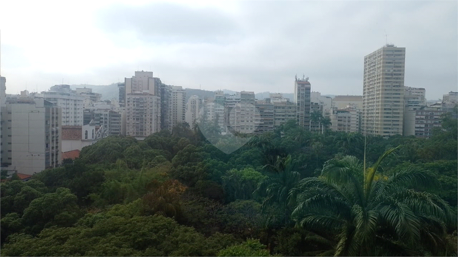 Foto REO1135312