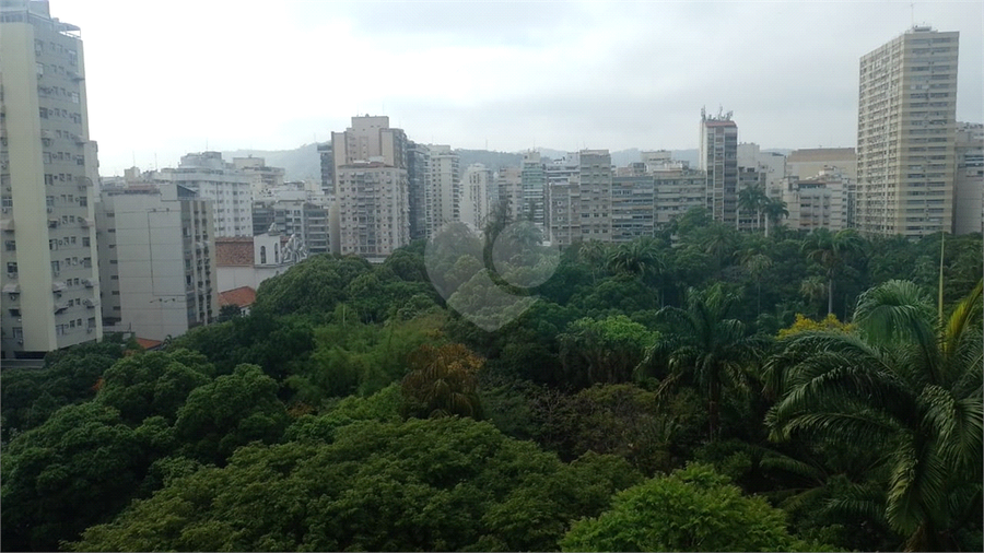 Foto REO1135312