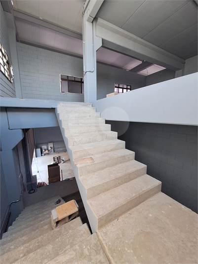 Foto REO1135317
