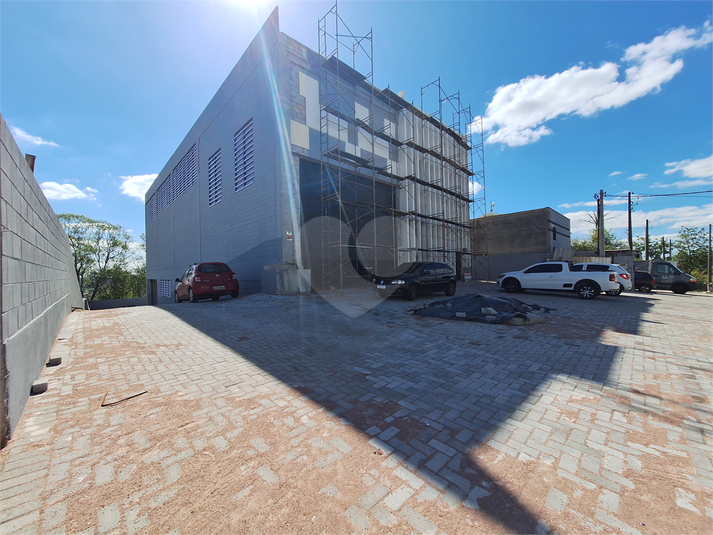 Foto REO1135317