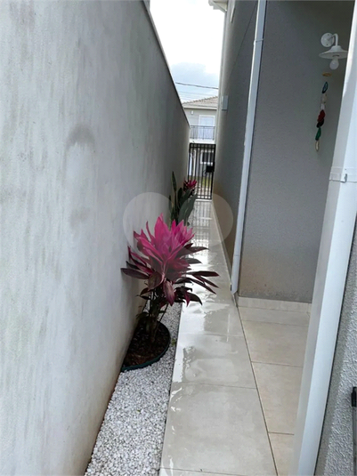 Foto REO1135323