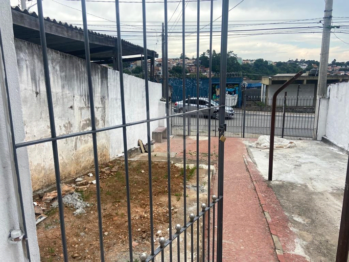 Foto REO1135328
