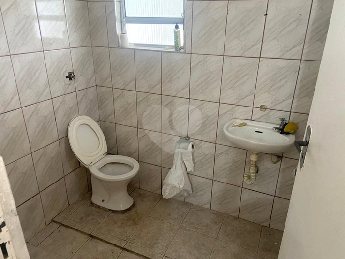 Foto REO1135328