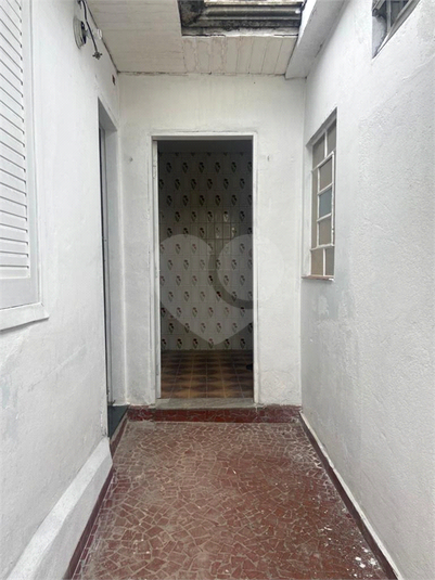 Foto REO1135328