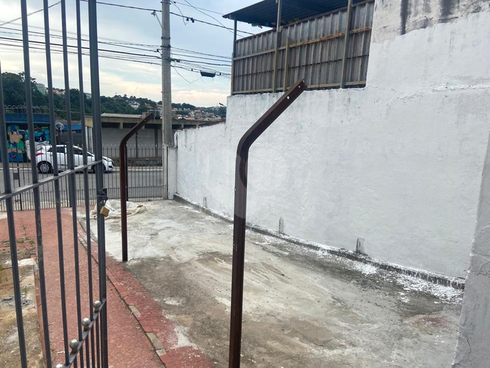 Foto REO1135328