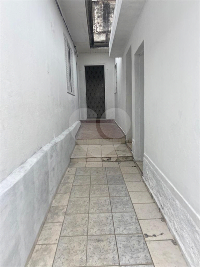 Foto REO1135328