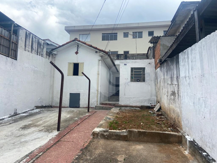 Foto REO1135328
