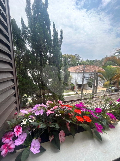 Foto REO1135330