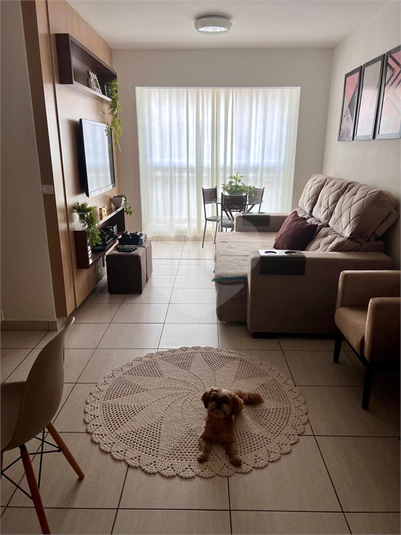 Foto REO1135333