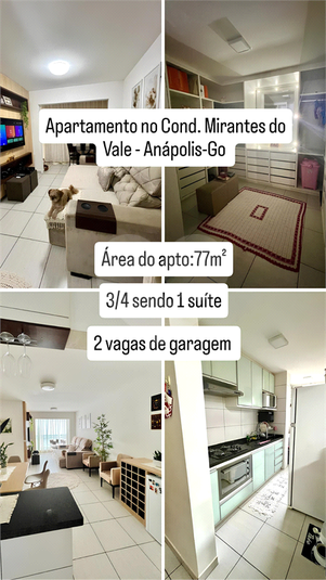 Foto REO1135333