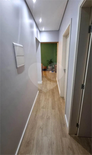 Foto REO1135352