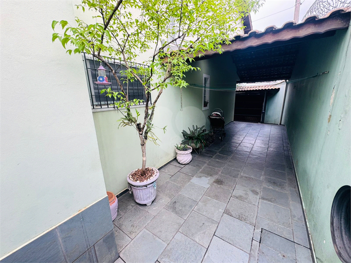 Foto REO1135361