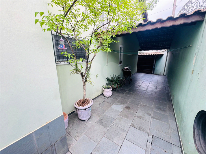 Foto REO1135361