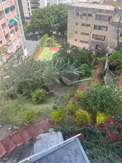 Foto REO1135371