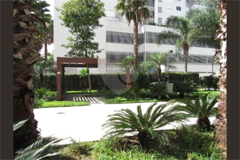 Foto REO1135372