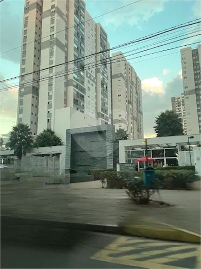 Foto REO1135372