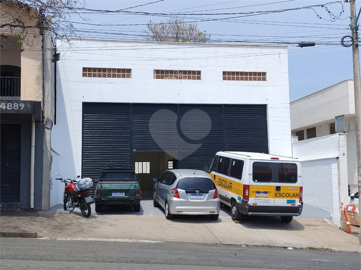 Foto REO1135388