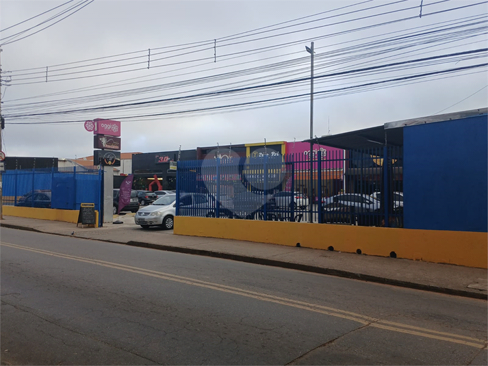 Foto REO1135400