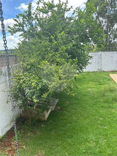 Foto REO1135402