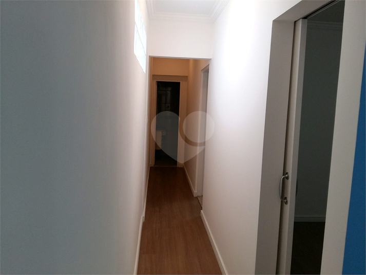 Foto REO1135407